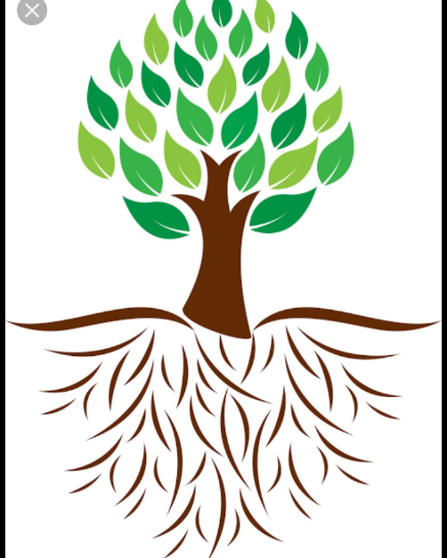 Learning Roots Play School And Day Care Center logo