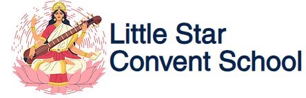 Little Star Convent School logo