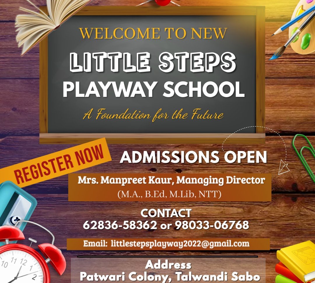 Little Steps Playway School logo
