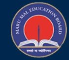 M. M. Public School logo