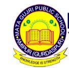 Mata Gujri Public School logo