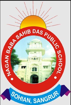 Nagan Baba Sahib Das Public School logo