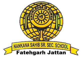 Nankana Sahib Senior Secondary School logo