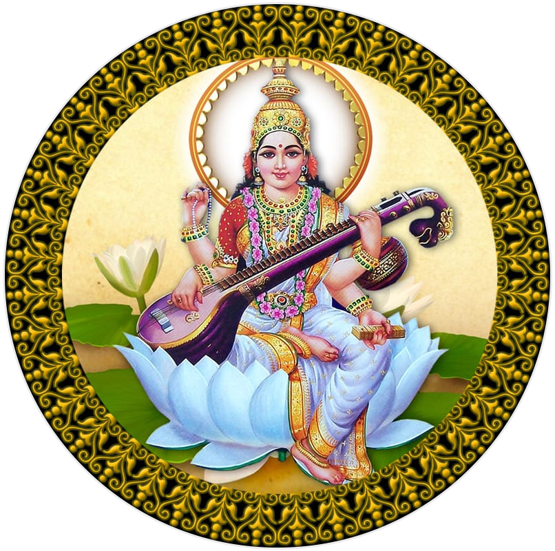 Naveen Public Sr. Sec. School logo