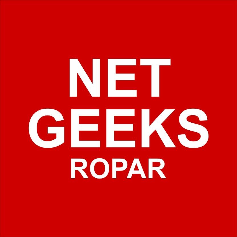 Net Geeks logo
