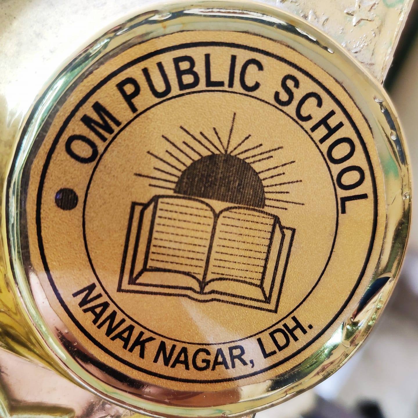 Om Public School logo