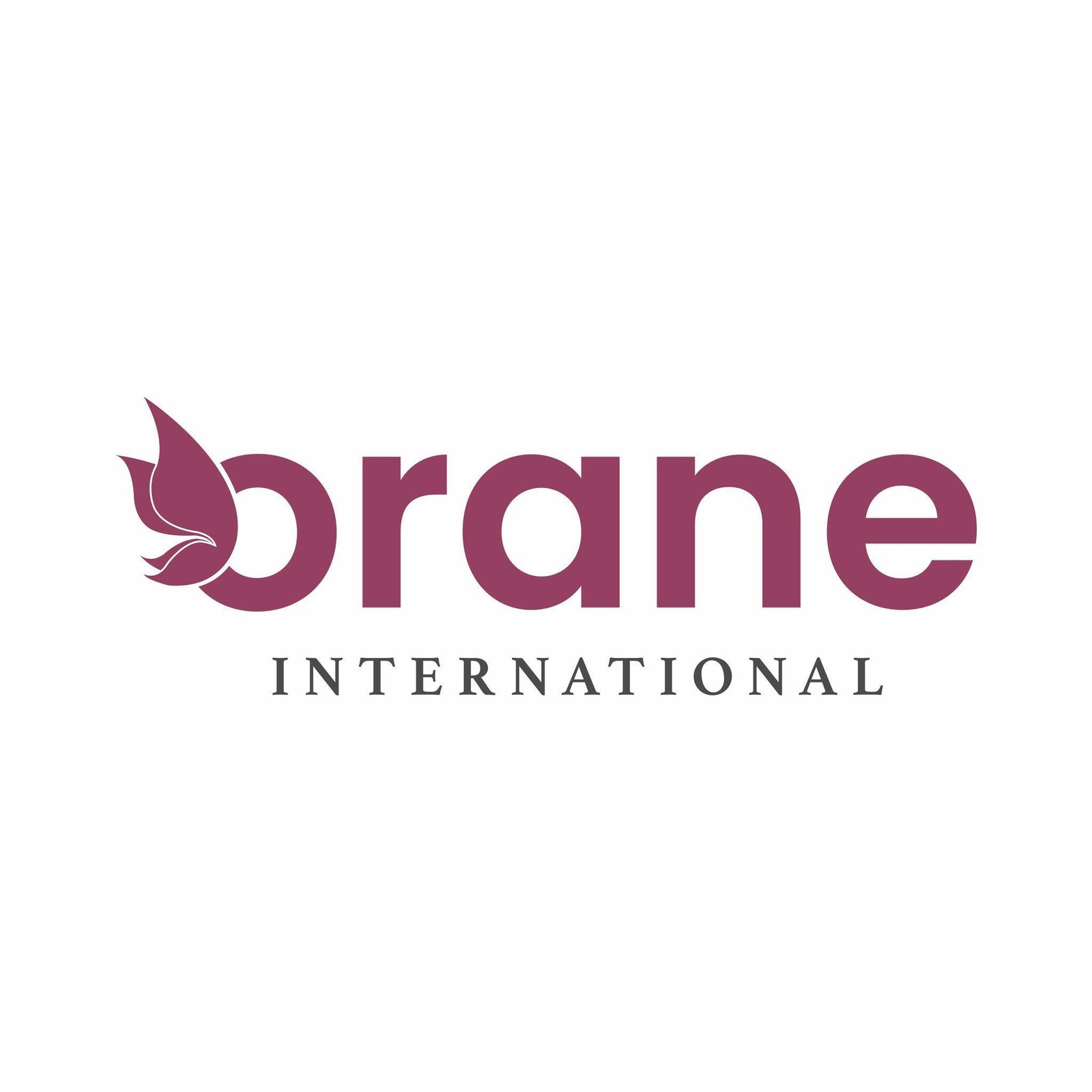 Orane International Academy & Salon Zira logo
