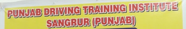 Punjab Driving & Training Institute logo