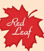 Red Leaf Ielts Institute logo