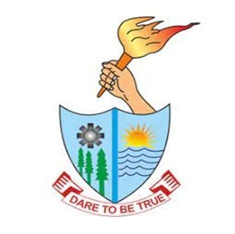 S.C.D. Government College logo
