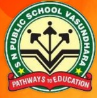 S.N. Public School logo