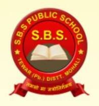 Saheed Babu Singh Public School logo