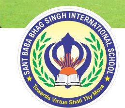 Sant Baba Bhag Singh International School logo