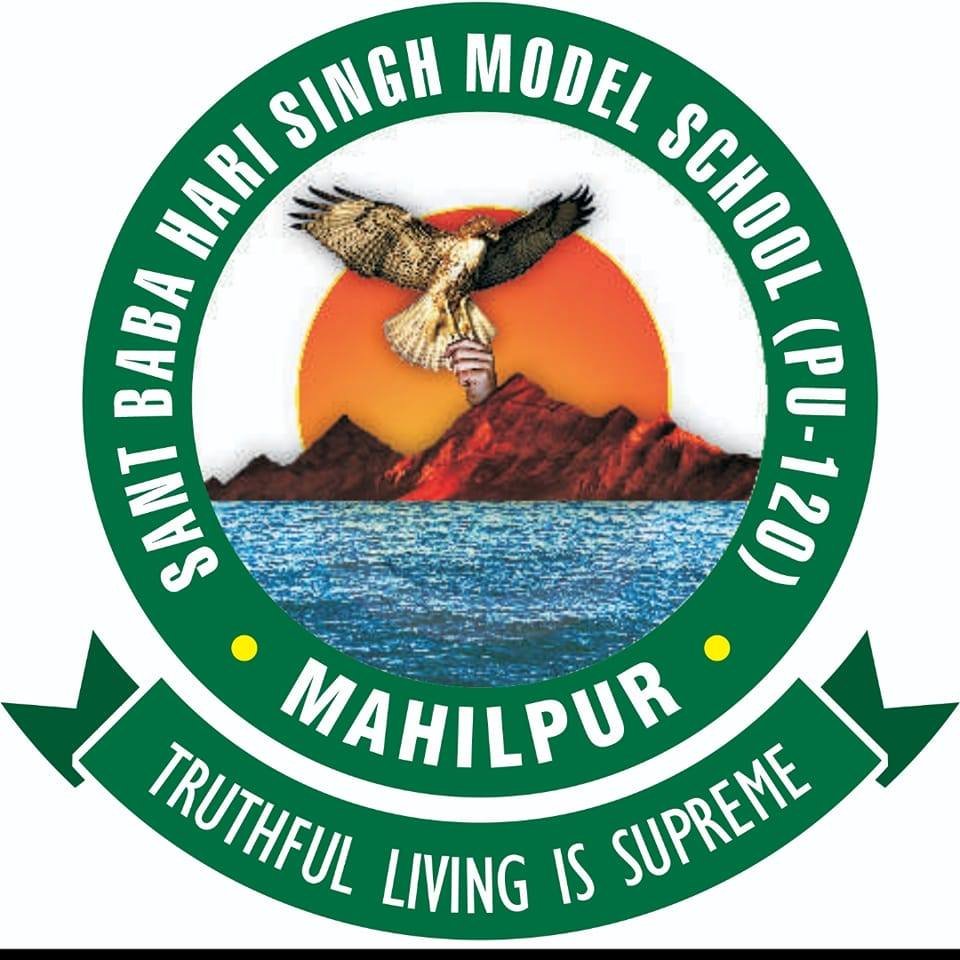 Sant Baba Hari Singh Model School logo