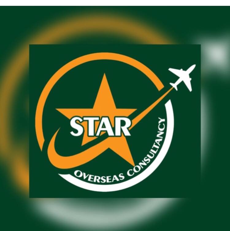 Star Overseas consultant logo