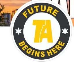 Teg Academy logo