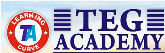 Teg Academy logo