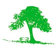 The Valley School logo