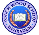 Touch Wood School logo