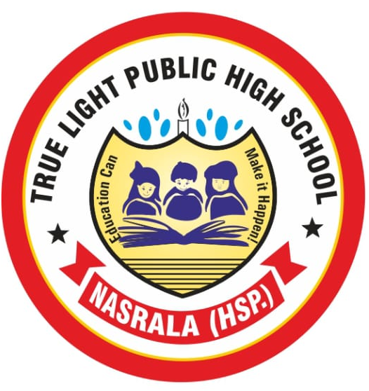True Light Public High School logo