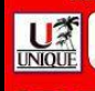 UNIQUE IELTS INSTITUTE logo
