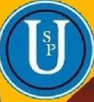 Unique Study Point logo