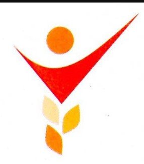 VIDYA RATTAN GROUP OF COLLEGS logo