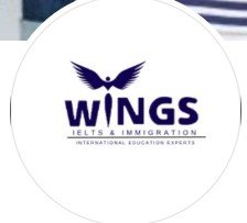 Wings Institute logo