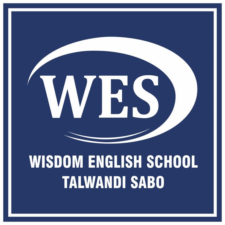 Wisdom English School logo